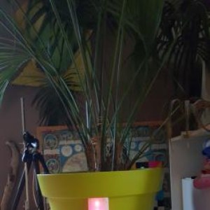 Arduino-HumiditySensor